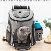Clear Cat Carrier Backpack Clear Cat Carrier Backpack