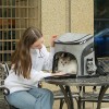 Clear Cat Carrier Backpack Clear Cat Carrier Backpack