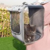 Transparent Cat Carrier Transparent Cat Carrier