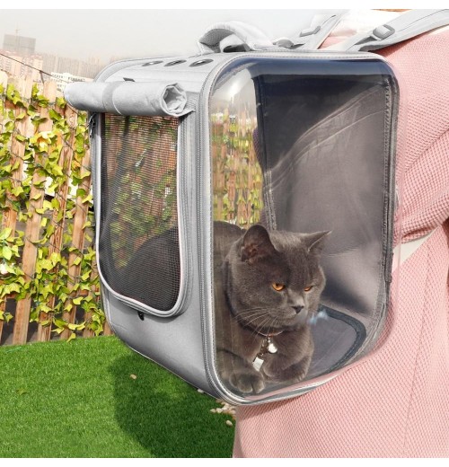 Transparent Cat Carrier Transparent Cat Carrier